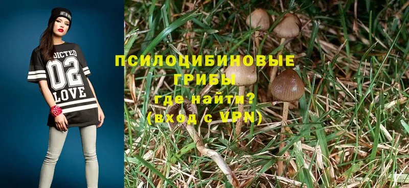 Галлюциногенные грибы MAGIC MUSHROOMS  Волжск 